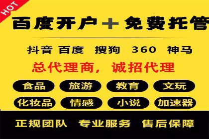 专业sem托管服务案例，揭秘广告投放优化策略